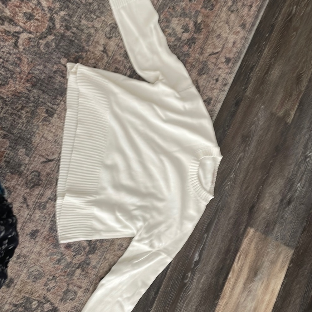 Everlane cotton crew sweater